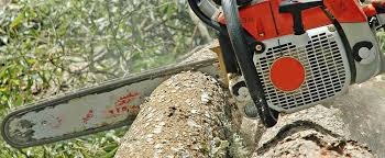 Operação com motosserra em segurança | 25 Horas