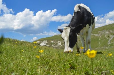 Modo de Produção Integrado - E-learning | 50 Horas