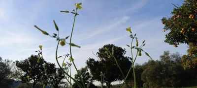 Turismo em Espaço Rural | E-learning | 25 Horas