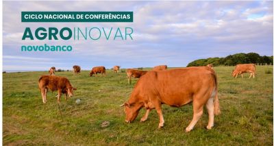 Conferência em Évora sobre “bovinos de carne: crescer com valor e sustentabilidade”