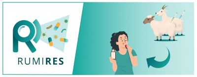 Guia de Boas Práticas - Pequenos Ruminantes RumiRes