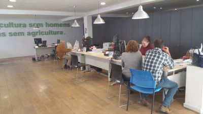 Responder aos questionários é melhorar a resposta...