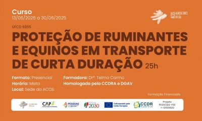 Proteção de Ruminantes e Equinos em Transporte de Curta Duração | 25 Horas