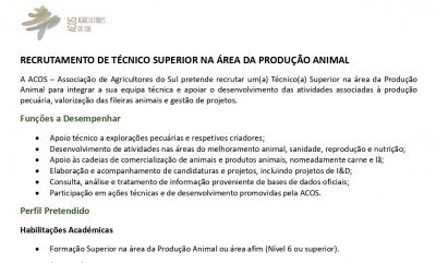 ACOS está a recrutar Técnico(a) Superior na área P...